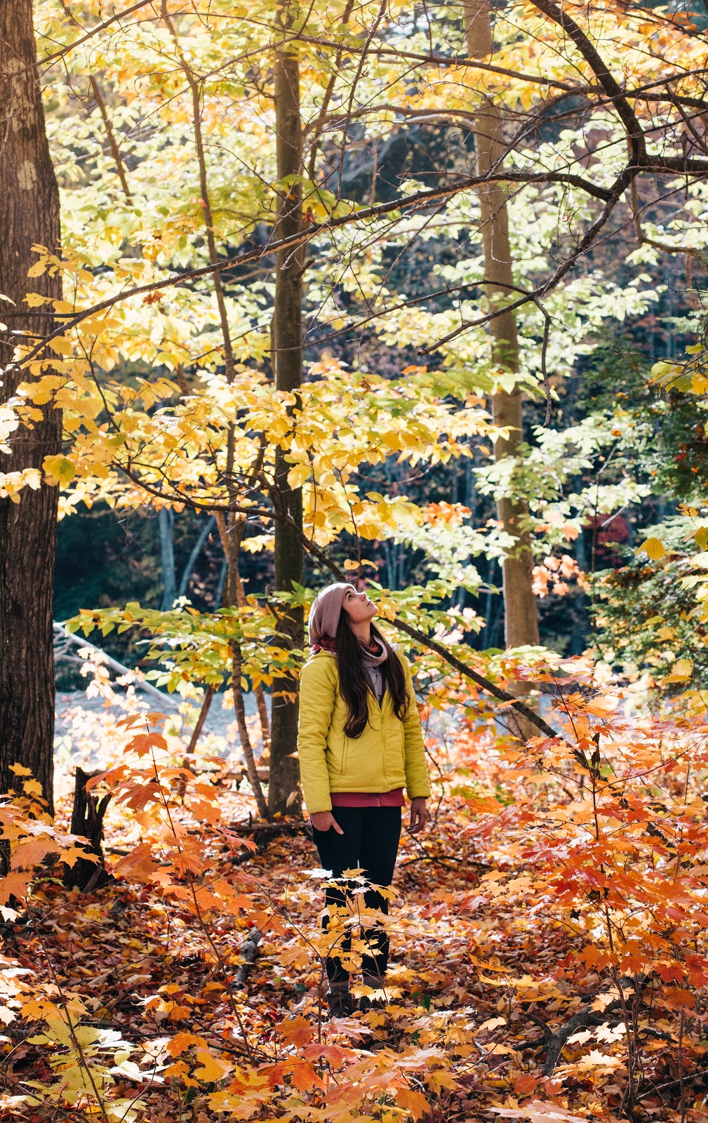 Yellow sweater