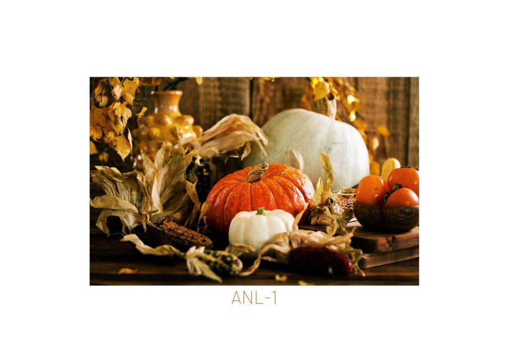 collection of orange and white fall pumpkins