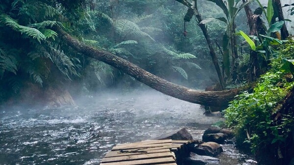un rio en la selva