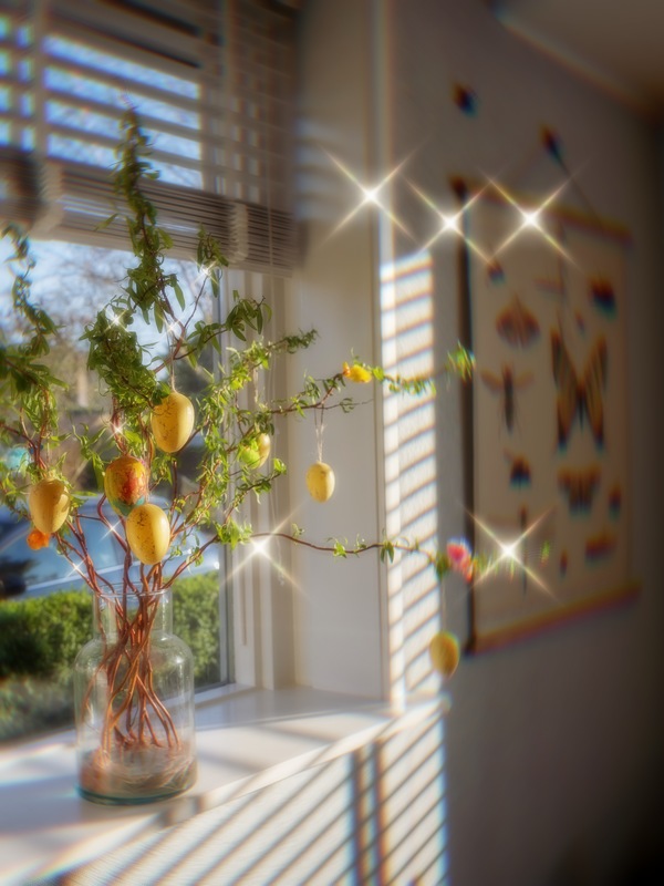 foto del interior de un carro con luz del sol y un árbol de limones