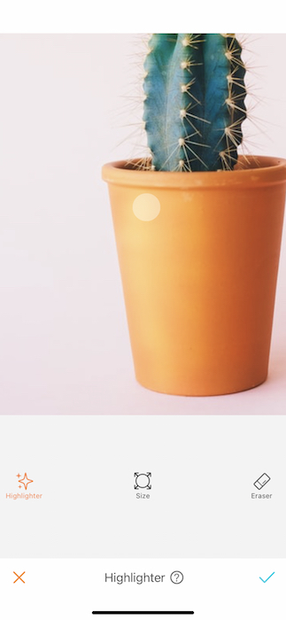 cactus plant in a glass pot in front of pink background