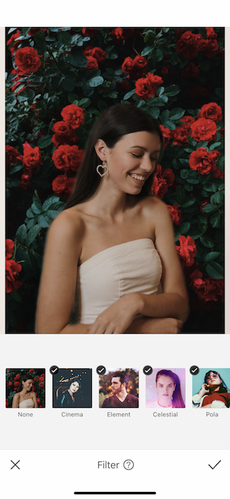 Picture of a brunette with flowers in the background being edited by AirBrush with Filter Tool