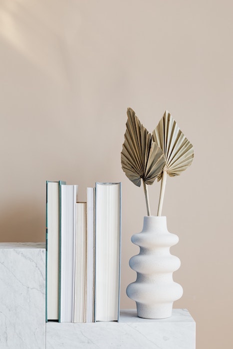 picture of a plant vase with books