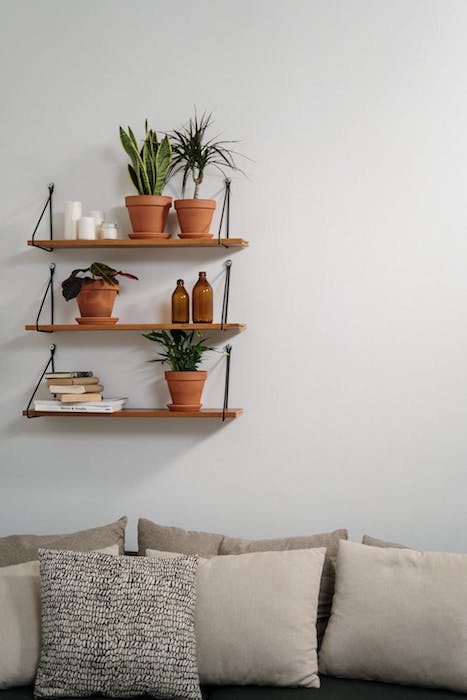 picture of a shelf with plants on it