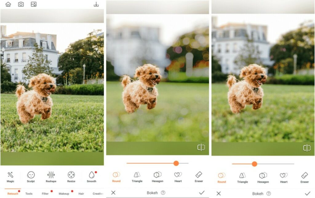 pet photos edit with Bokeh Tool