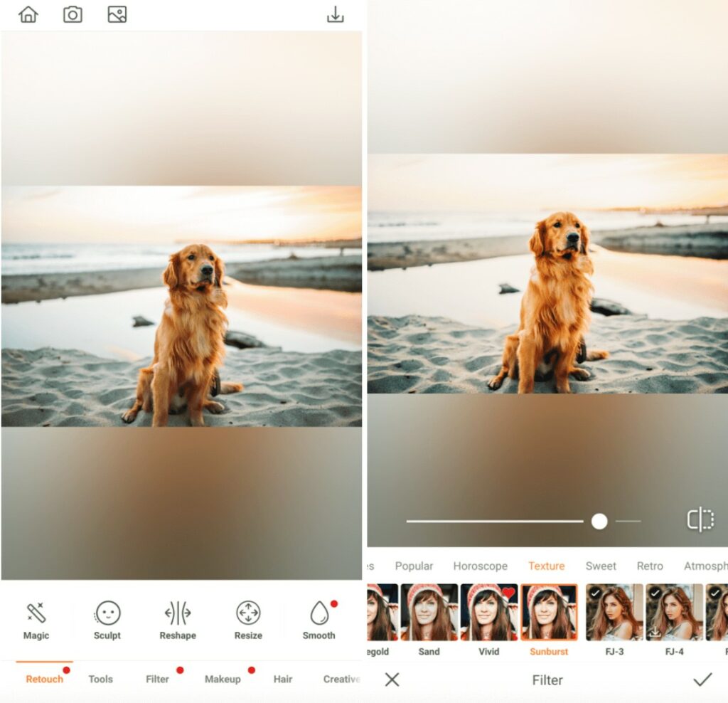 pet photos edit with Sunburst filter