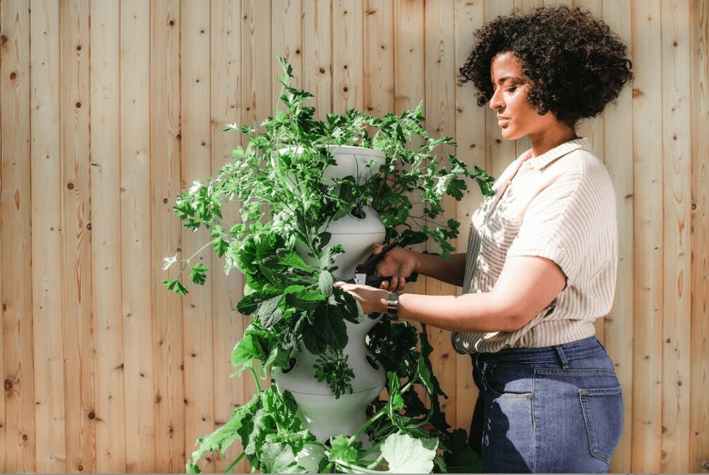 woman tending plants in her garden