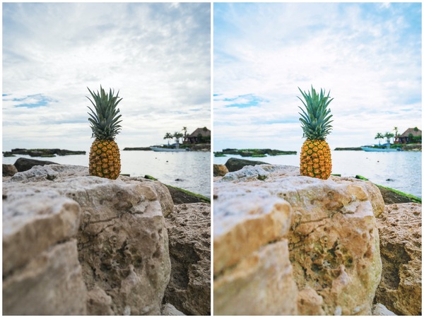 Montagem de duas fotos de um abacaxi com o mar ao fundo