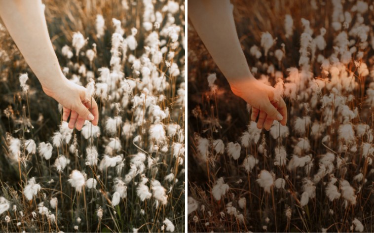 Hand picking flowers